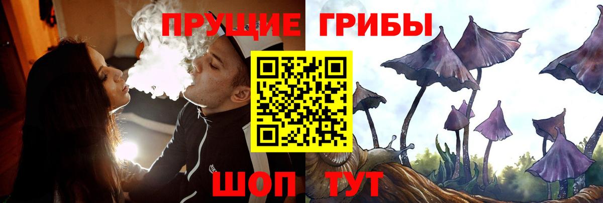Галлюциногенные грибы GOLDEN TEACHER  Вход с VPN  хочу наркоту  Урюпинск  Псилоцибиновые грибы прущие грибы 